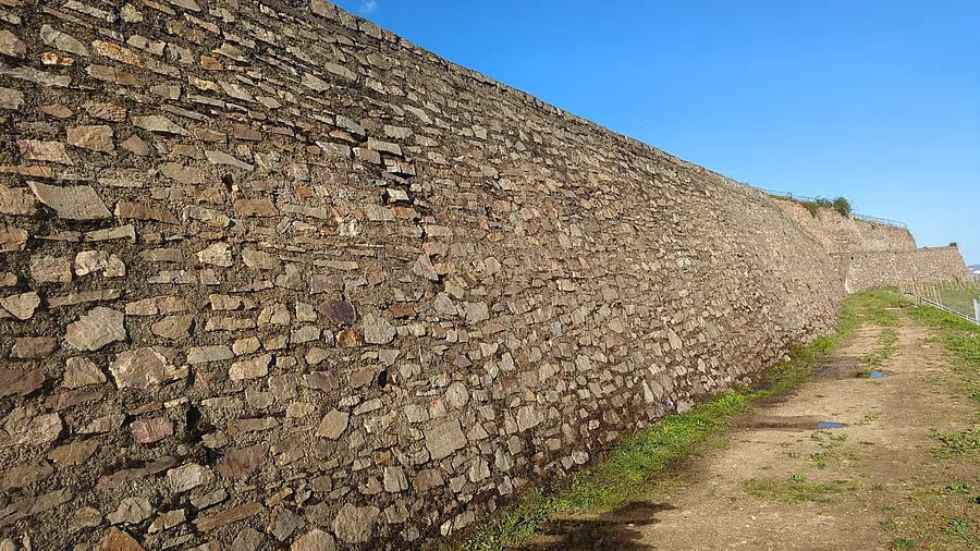Rüdesheim · Weinbergsmauer im UNESCO-Welterbe – nachher